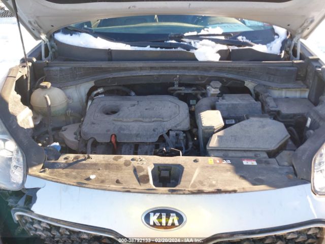 Photo 9 VIN: KNDPNCAC8J7428790 - KIA SPORTAGE 