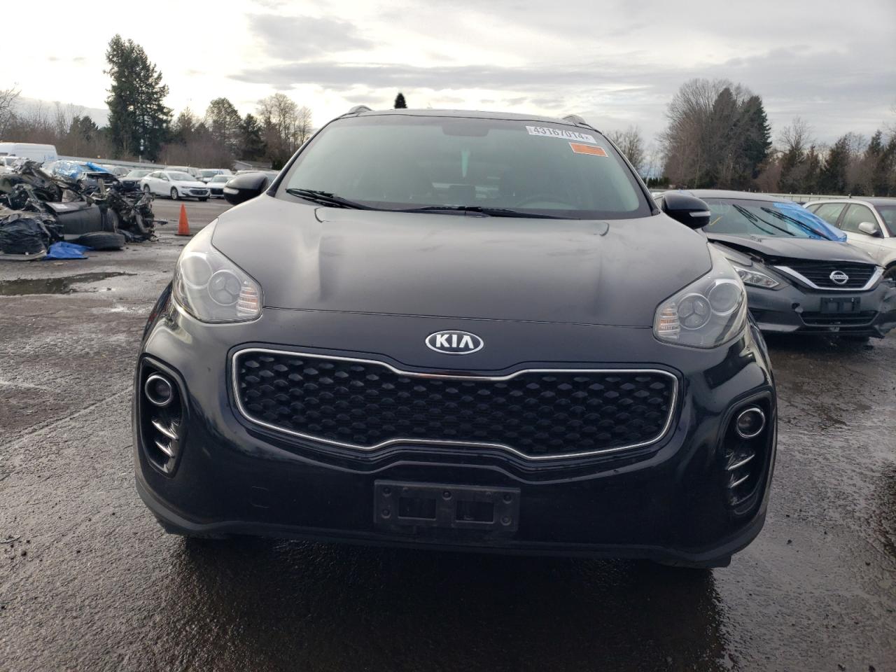 Photo 4 VIN: KNDPNCAC9J7325636 - KIA SPORTAGE 