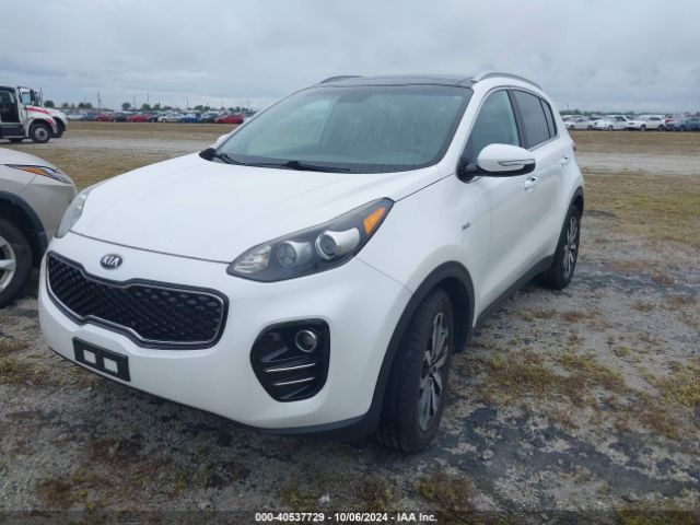 Photo 1 VIN: KNDPNCACXH7056217 - KIA SPORTAGE 