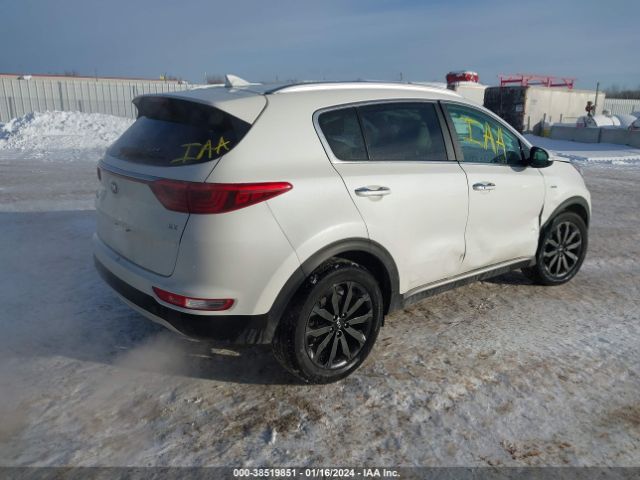 Photo 3 VIN: KNDPNCACXK7600335 - KIA SPORTAGE 