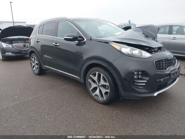 Photo 0 VIN: KNDPR3A65H7097532 - KIA SPORTAGE 