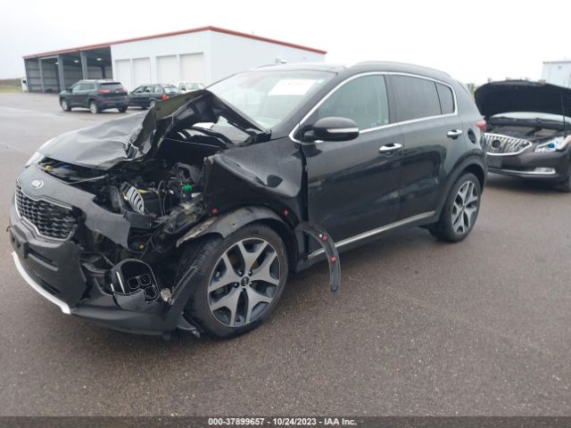 Photo 1 VIN: KNDPR3A65H7097532 - KIA SPORTAGE 