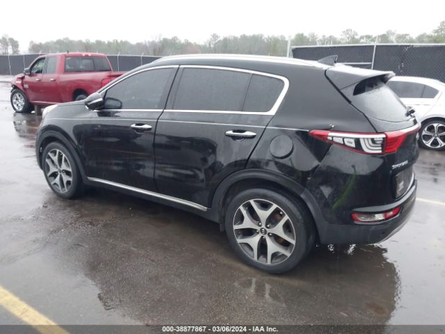 Photo 2 VIN: KNDPR3A6XH7049301 - KIA SPORTAGE 