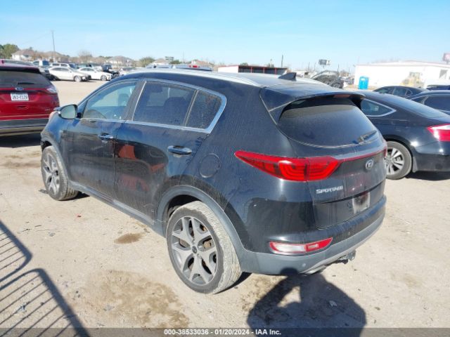 Photo 2 VIN: KNDPRCA60H7101230 - KIA SPORTAGE 