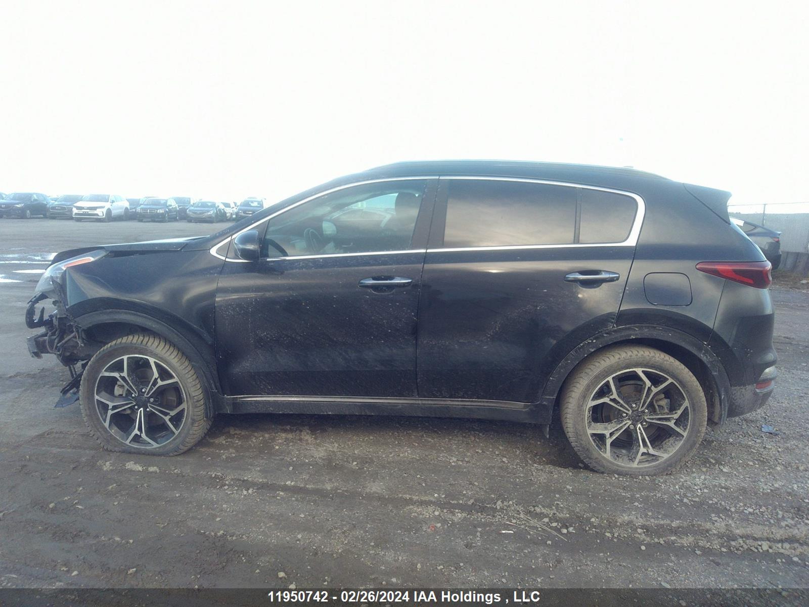 Photo 13 VIN: KNDPRCA63N7982744 - KIA SPORTAGE 