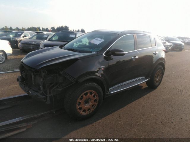 Photo 1 VIN: KNDPRCA64H7255035 - KIA SPORTAGE 