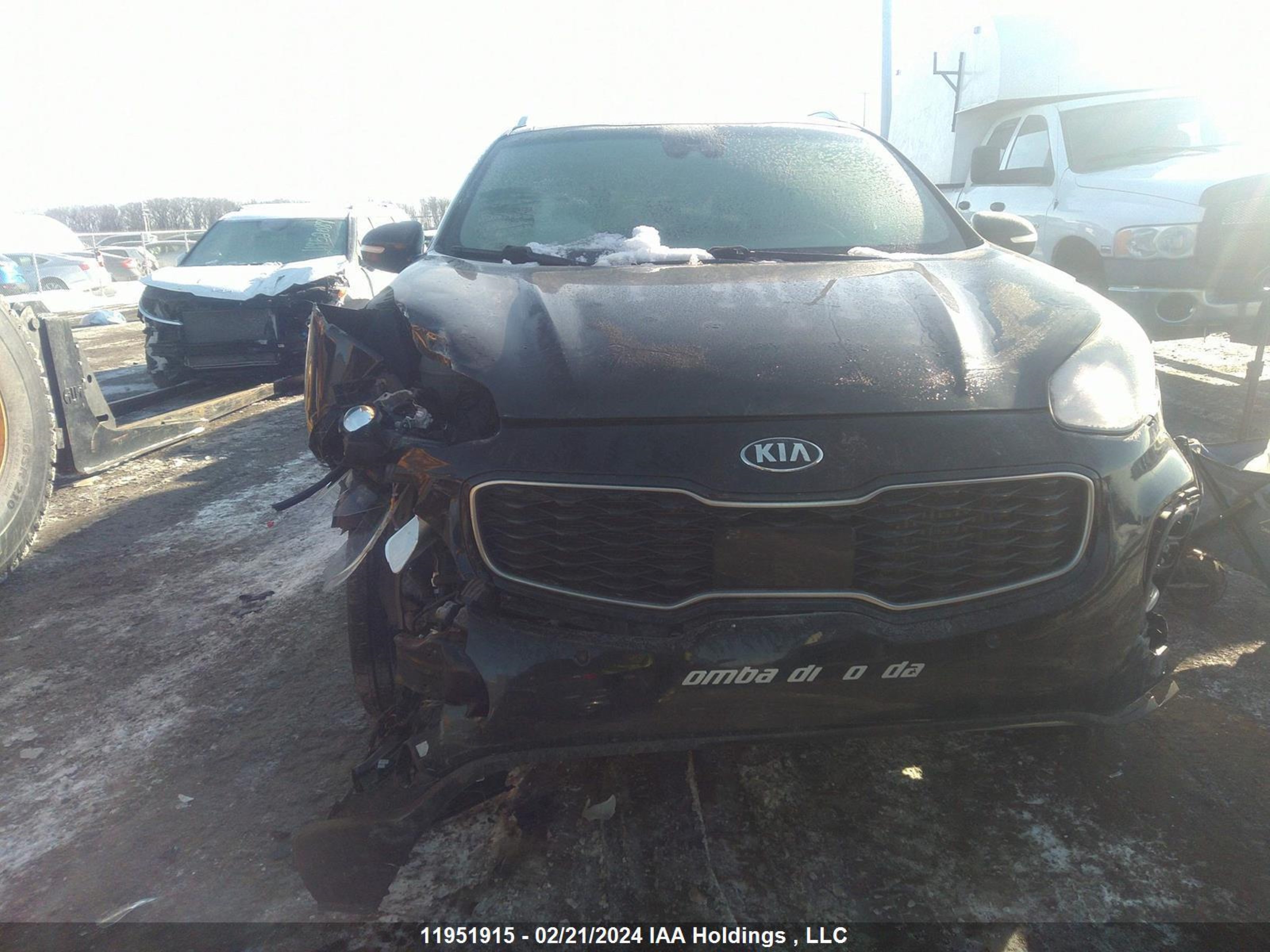 Photo 11 VIN: KNDPRCA66H7069321 - KIA SPORTAGE 