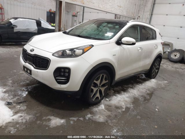 Photo 1 VIN: KNDPRCA66H7128870 - KIA SPORTAGE 