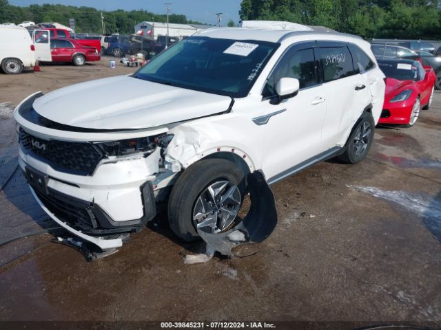 Photo 1 VIN: KNDRGDLGXN5081067 - KIA SORENTO 