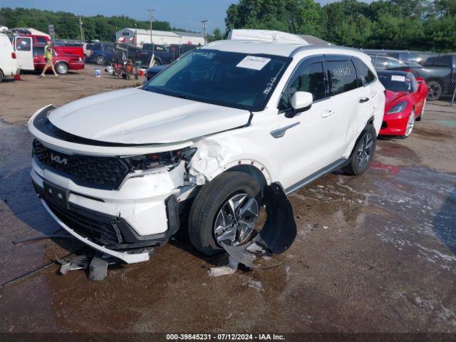 Photo 5 VIN: KNDRGDLGXN5081067 - KIA SORENTO 