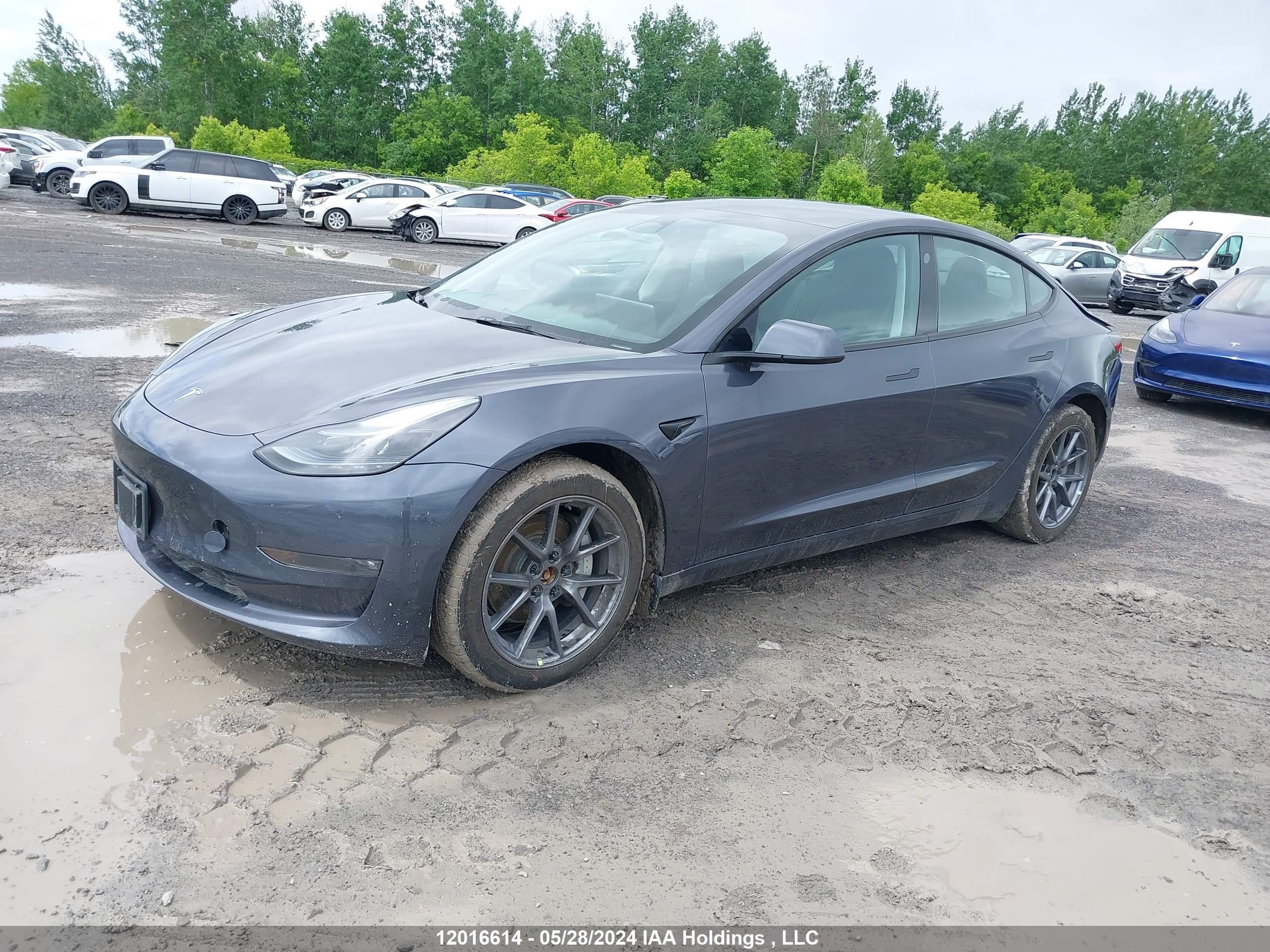 Photo 1 VIN: LRW3E1EB7PC932734 - TESLA MODEL 3 