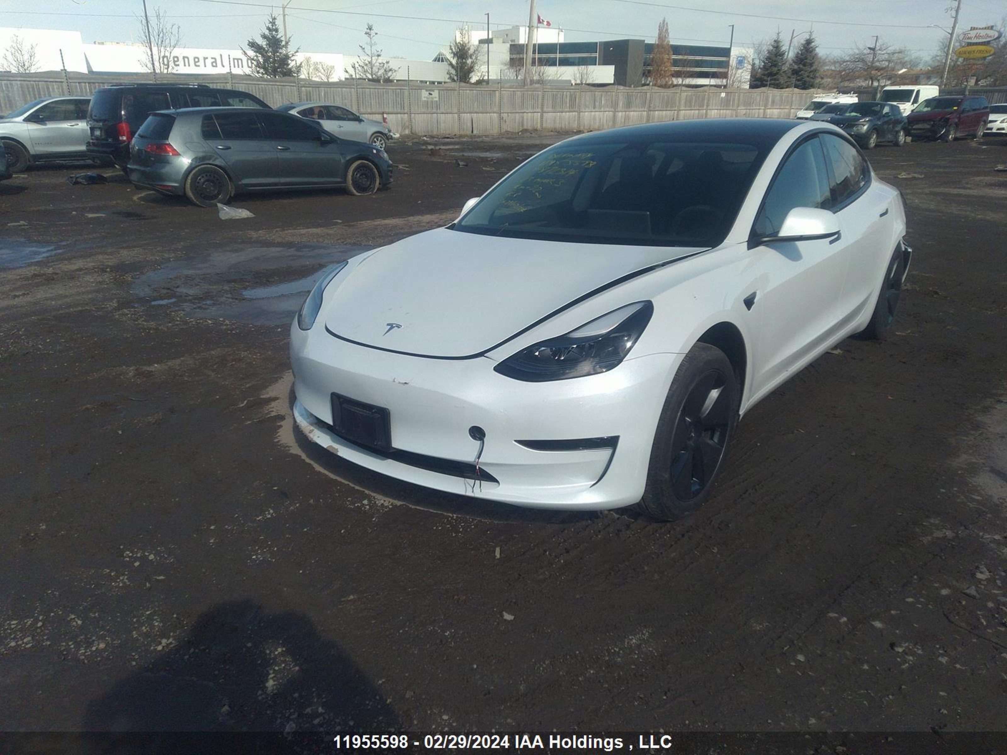 Photo 1 VIN: LRW3E1FA5PC872314 - TESLA MODEL 3 