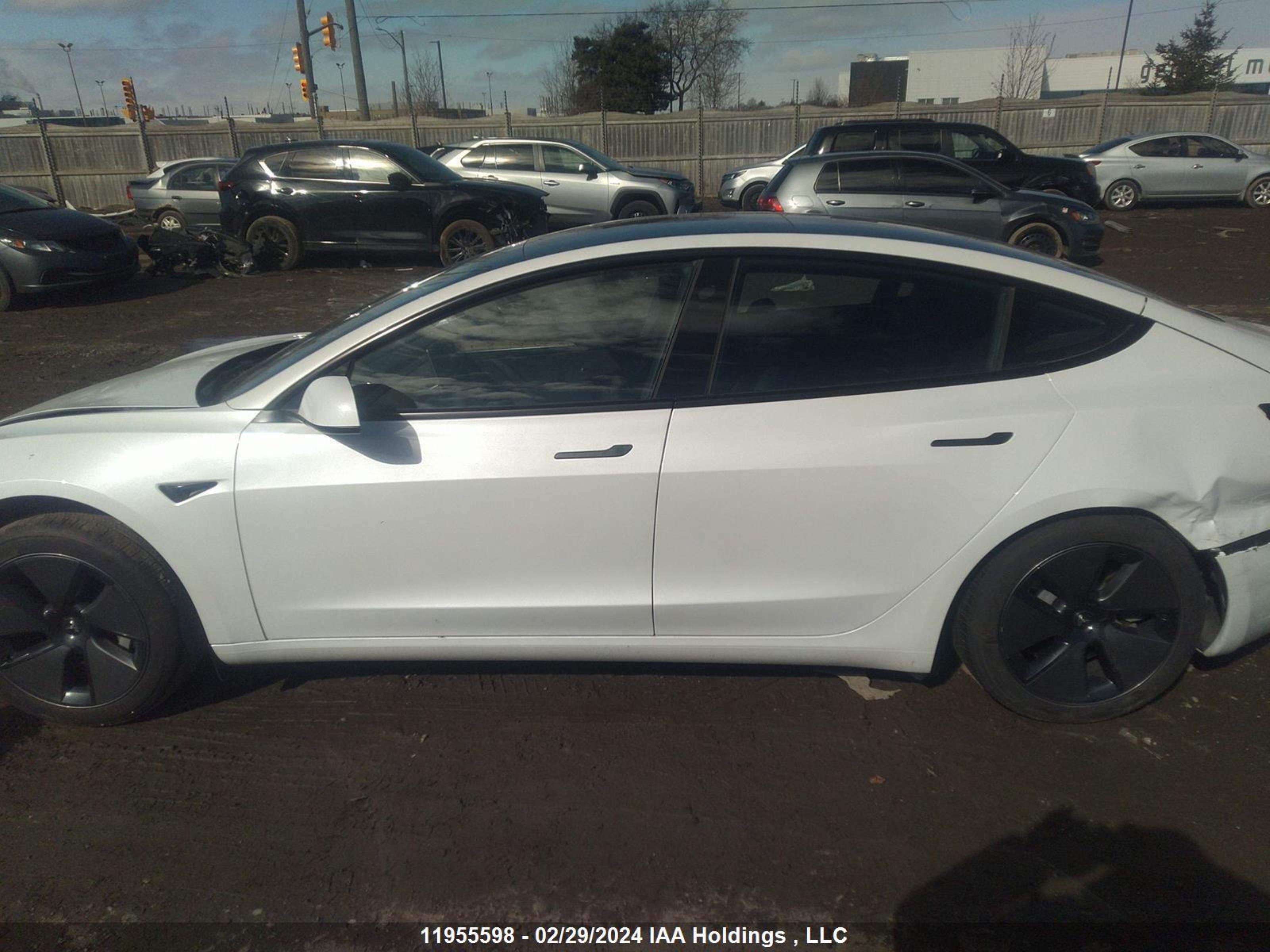 Photo 13 VIN: LRW3E1FA5PC872314 - TESLA MODEL 3 