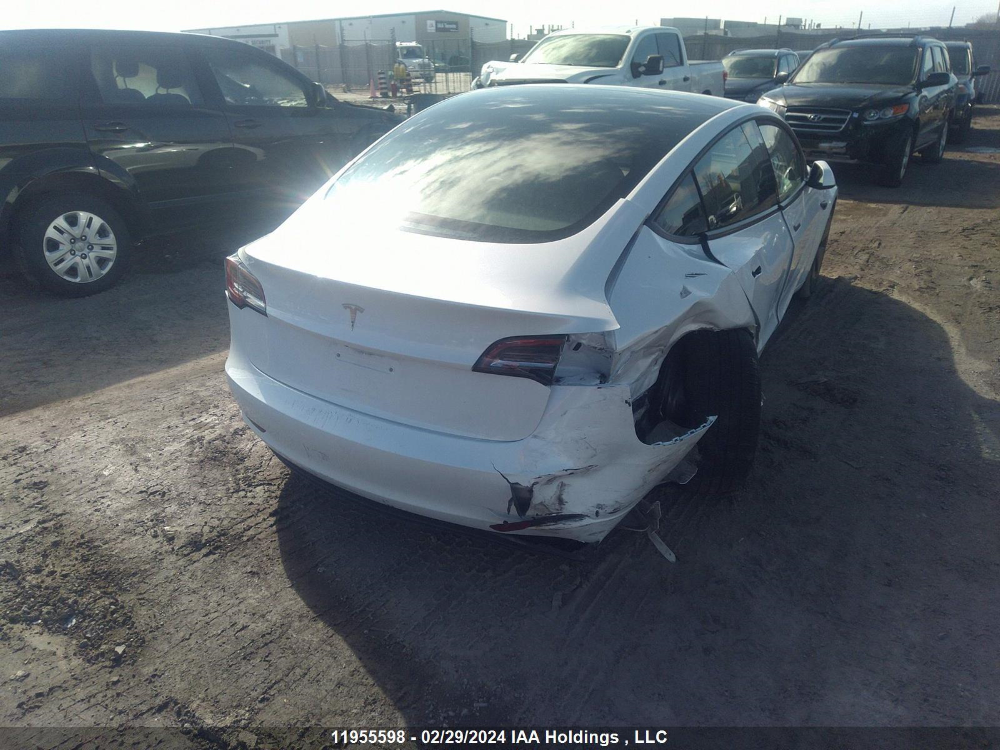 Photo 3 VIN: LRW3E1FA5PC872314 - TESLA MODEL 3 