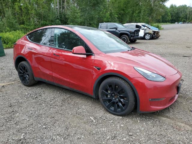 Photo 3 VIN: LRWYGDEE3PC110394 - TESLA MODEL Y 