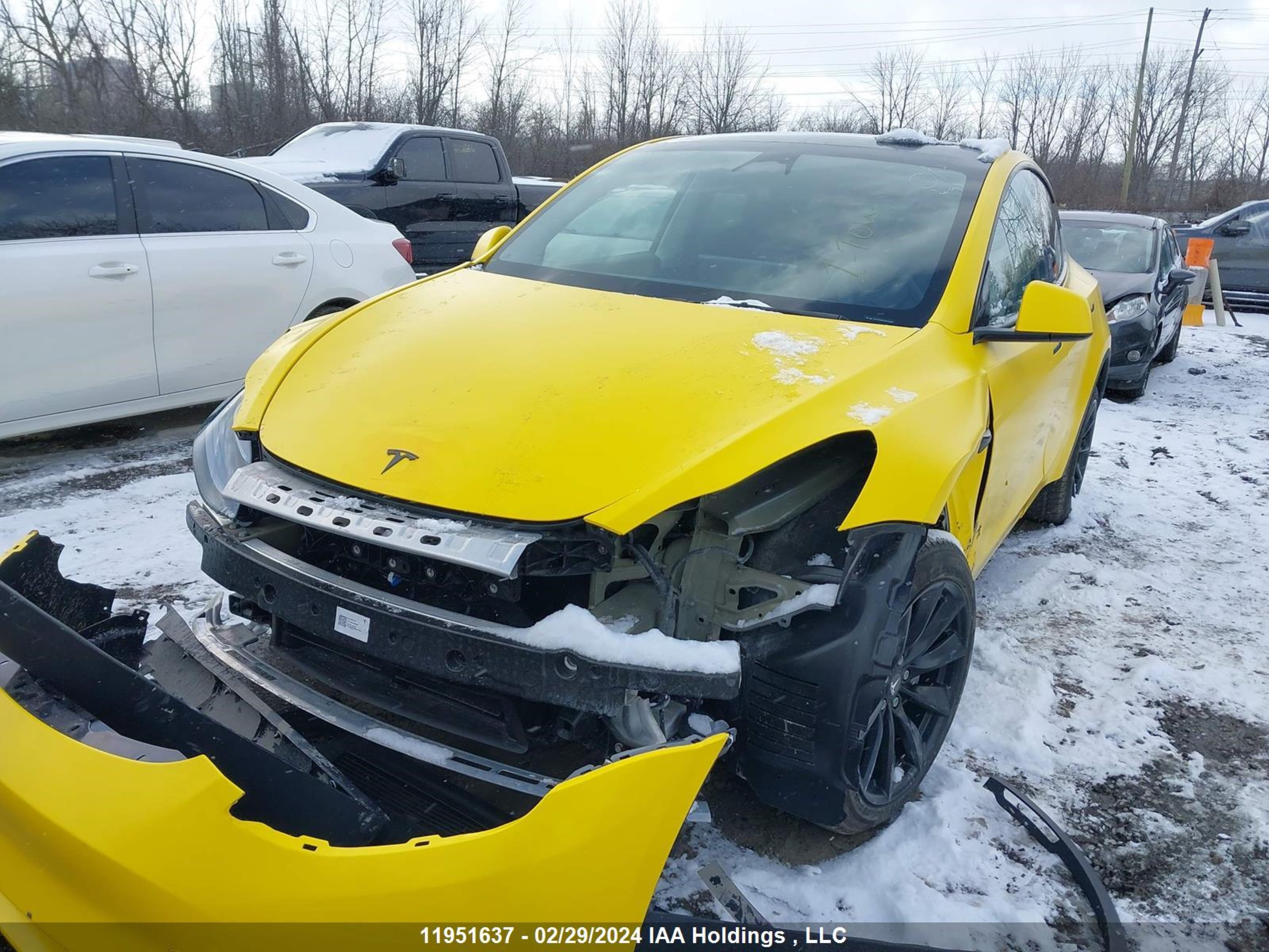 Photo 1 VIN: LRWYGDEE4PC161998 - TESLA MODEL Y 