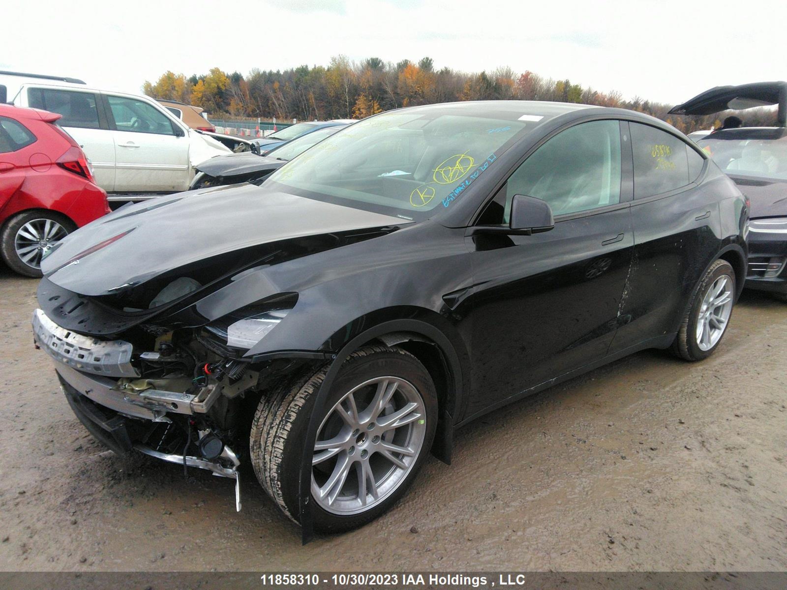 Photo 1 VIN: LRWYGDFD3PC938774 - TESLA MODEL Y 