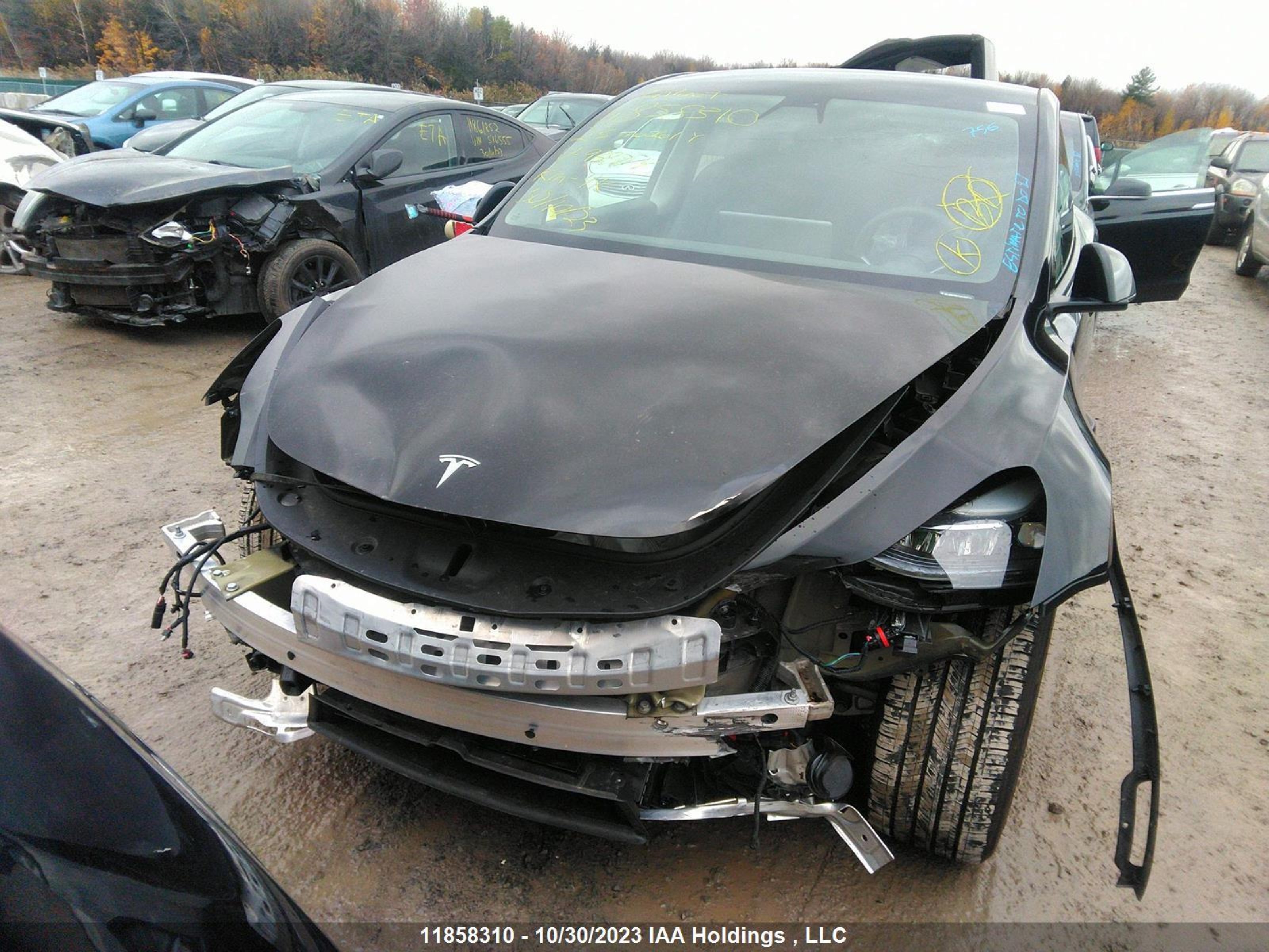 Photo 5 VIN: LRWYGDFD3PC938774 - TESLA MODEL Y 