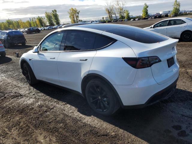 Photo 1 VIN: LRWYGDFD4PC939223 - TESLA MODEL Y 