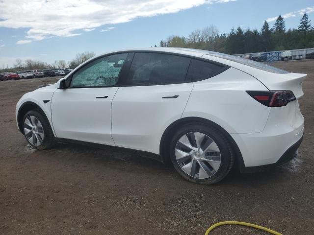 Photo 1 VIN: LRWYGDFD8PC967381 - TESLA MODEL Y 