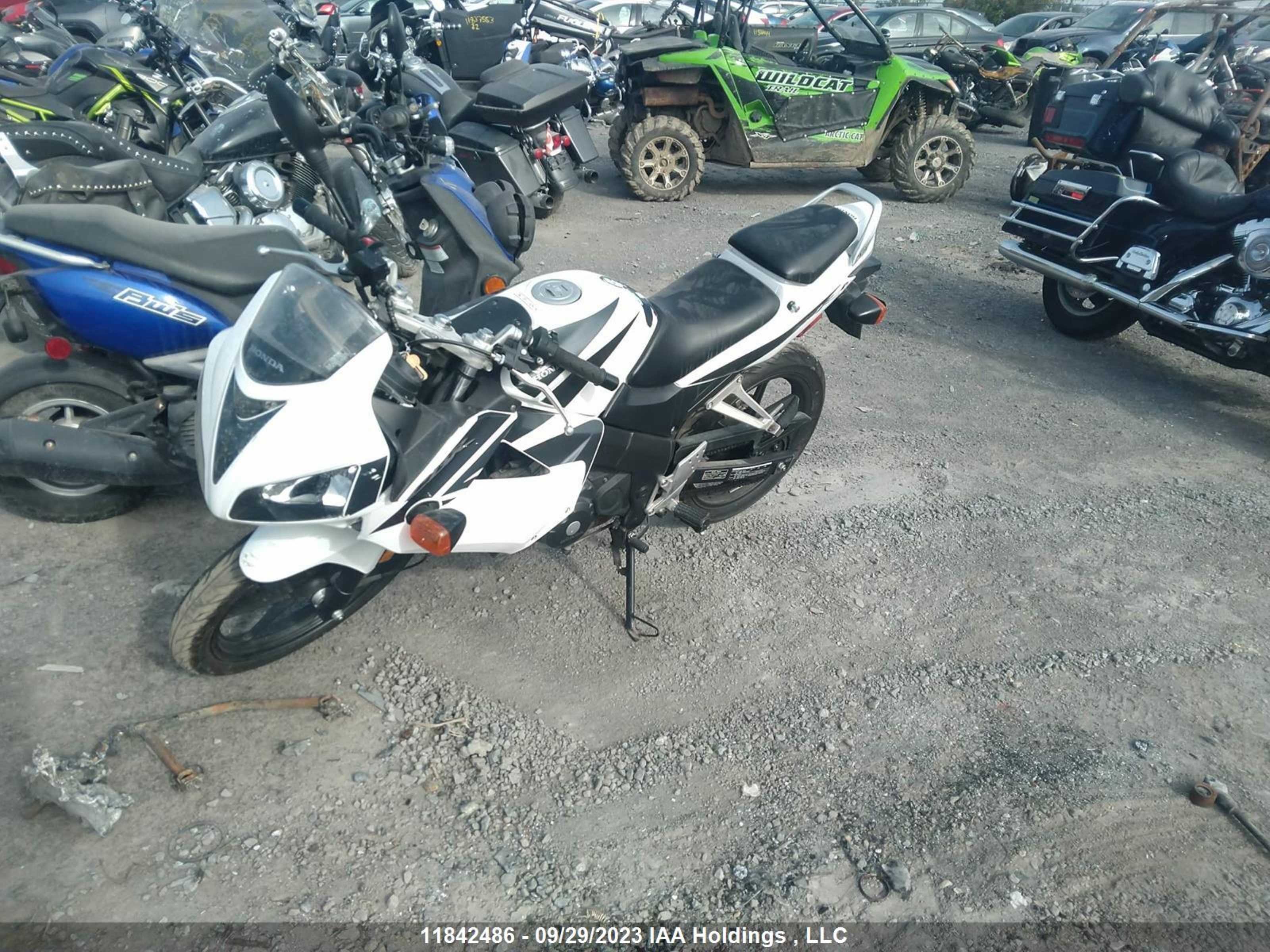 Photo 1 VIN: MLHJC392785102490 - HONDA NULL 