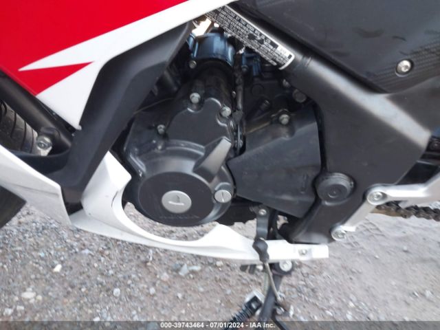 Photo 7 VIN: MLHNC5159F5100868 - HONDA CBR300 