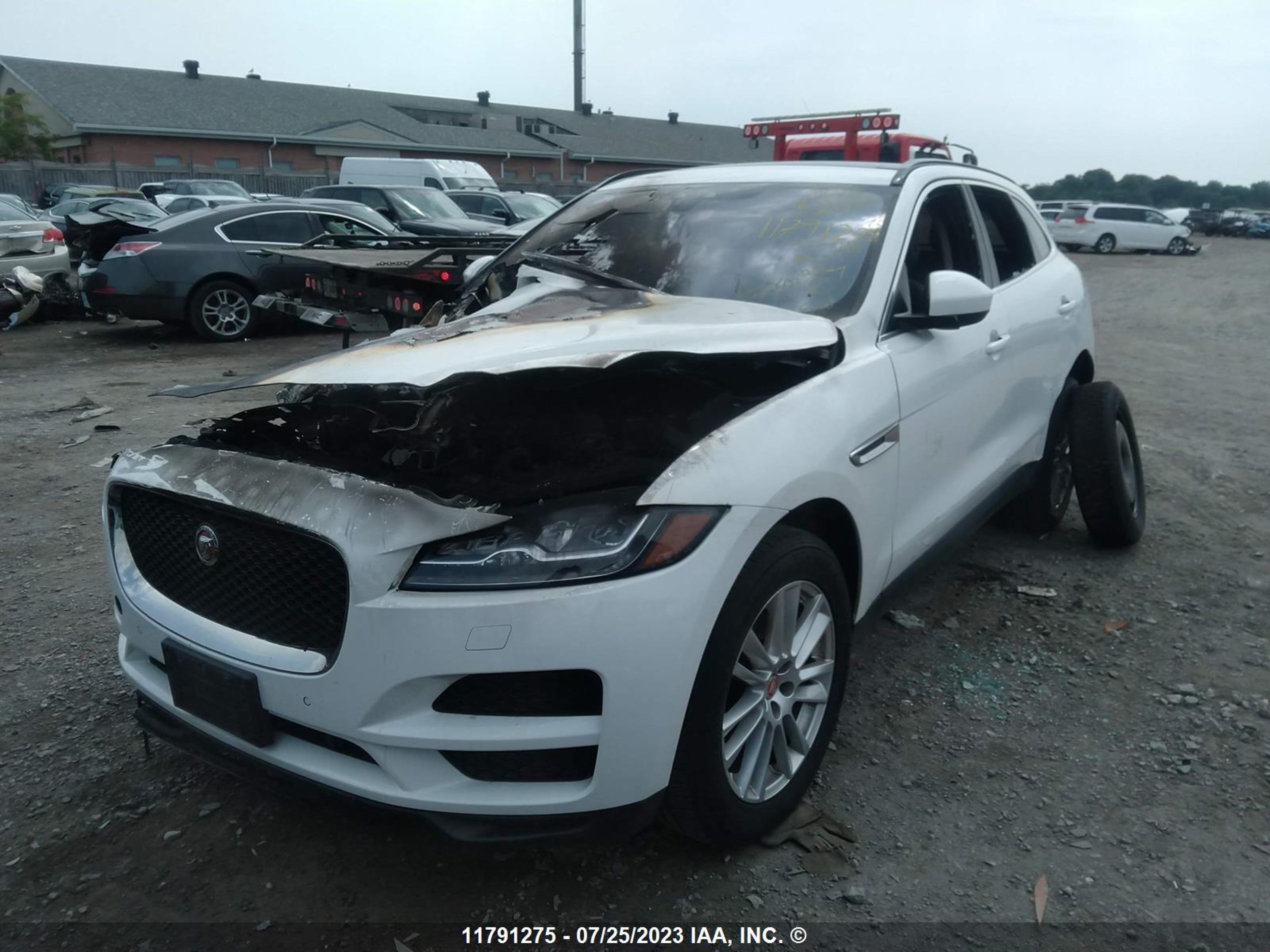 Photo 1 VIN: SADCK2FN6JA290363 - JAGUAR F-PACE 