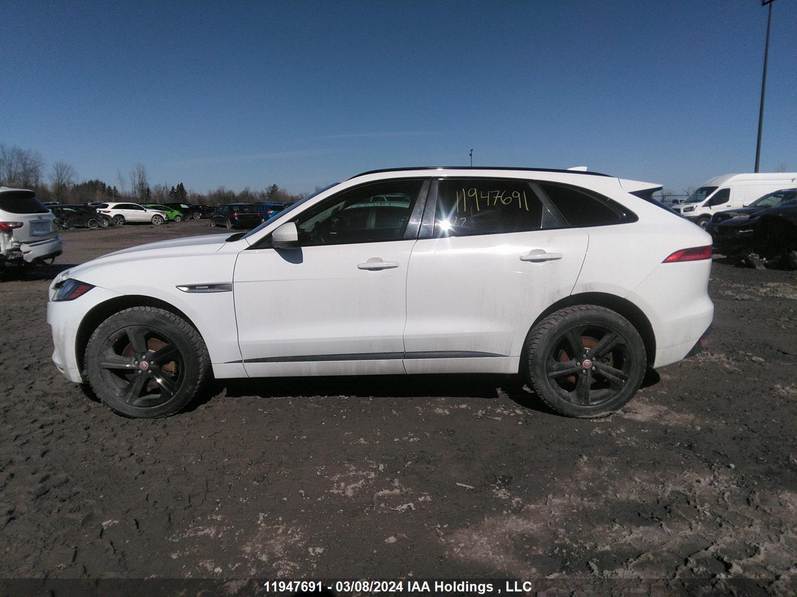 Photo 14 VIN: SADCL2BV5HA887940 - JAGUAR F-PACE 