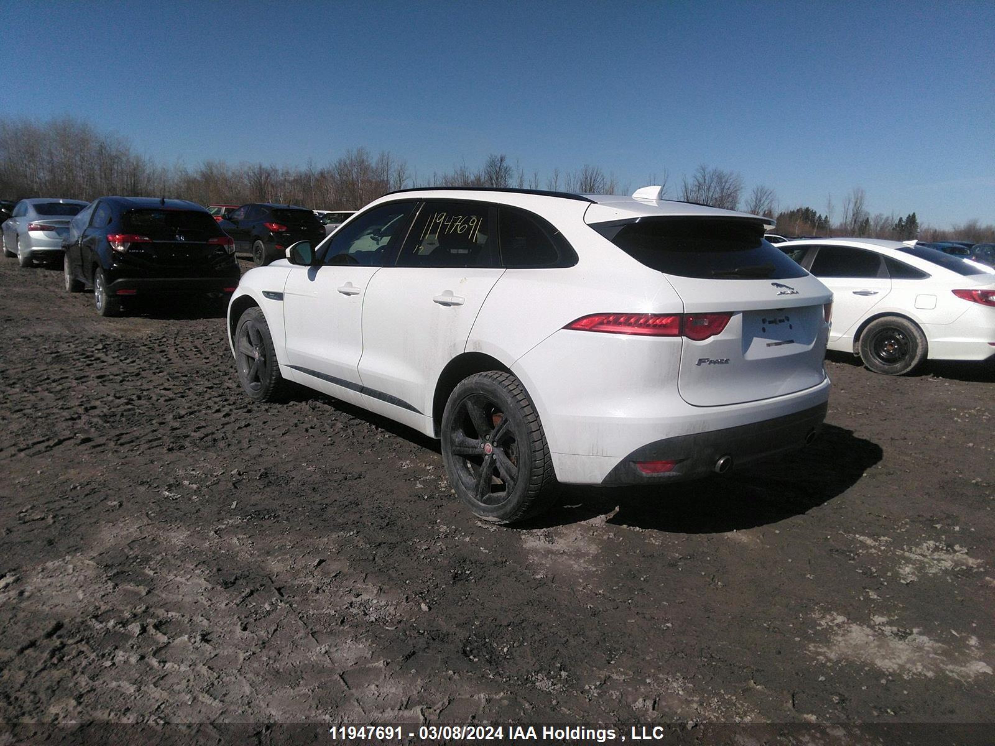 Photo 2 VIN: SADCL2BV5HA887940 - JAGUAR F-PACE 