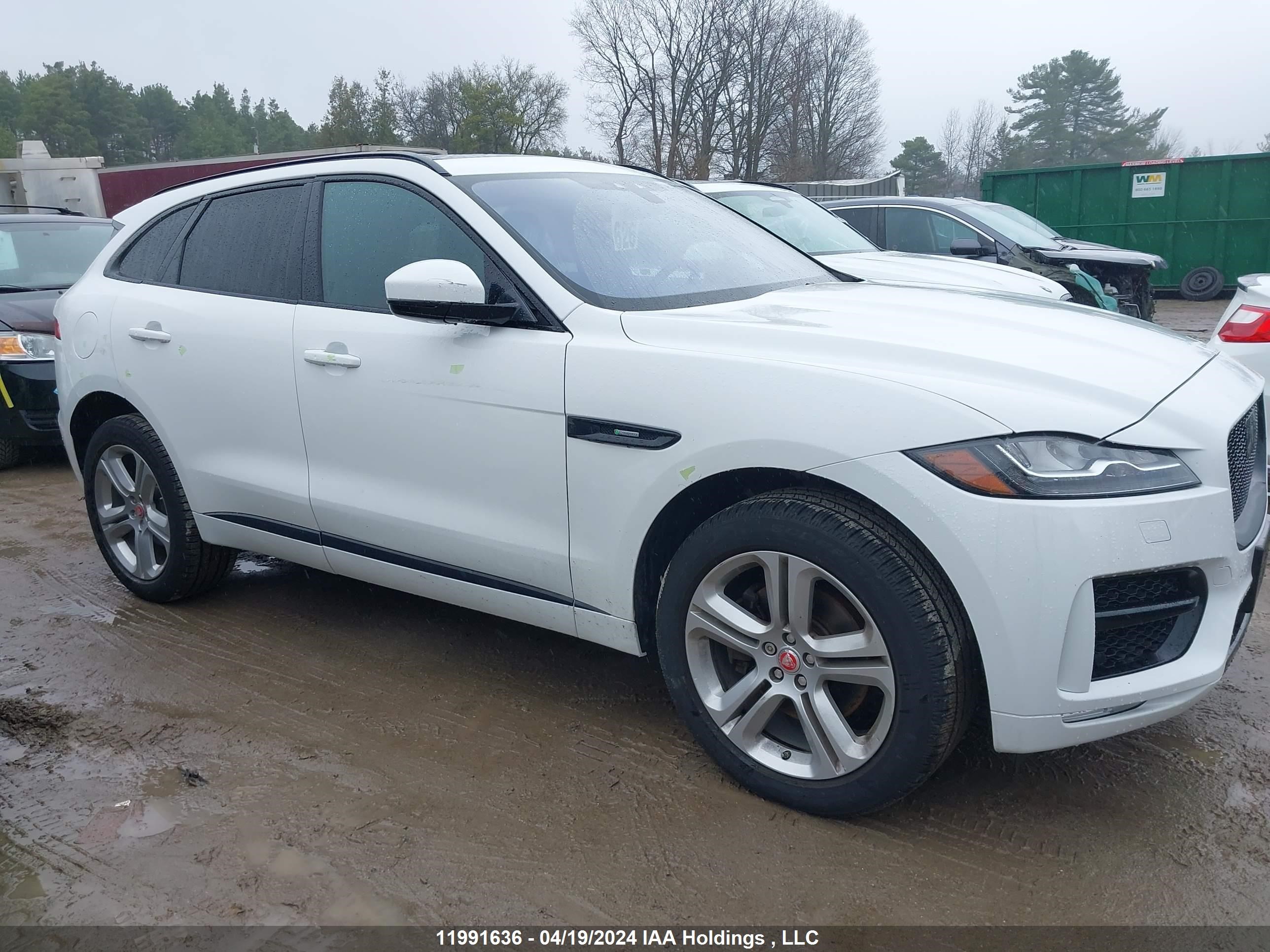 Photo 12 VIN: SADCL2GX9KA390083 - JAGUAR F-PACE 