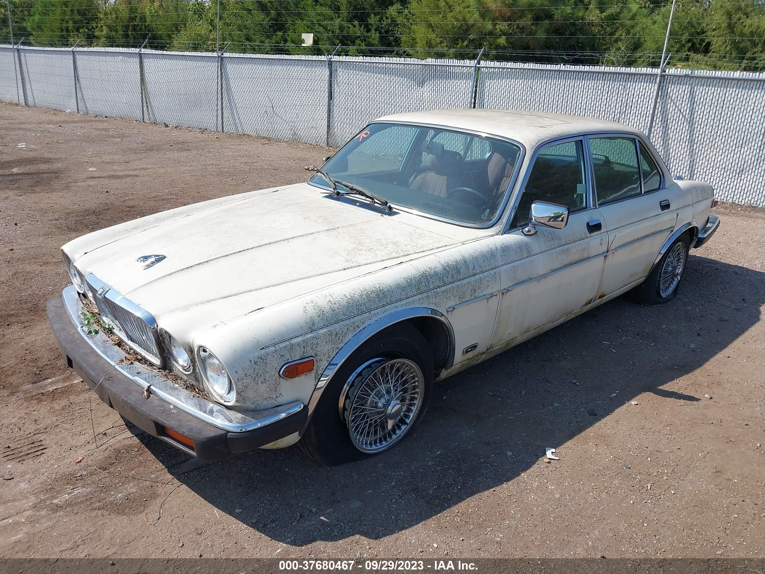 Photo 1 VIN: SAJAV1342HC468642 - JAGUAR XJ 