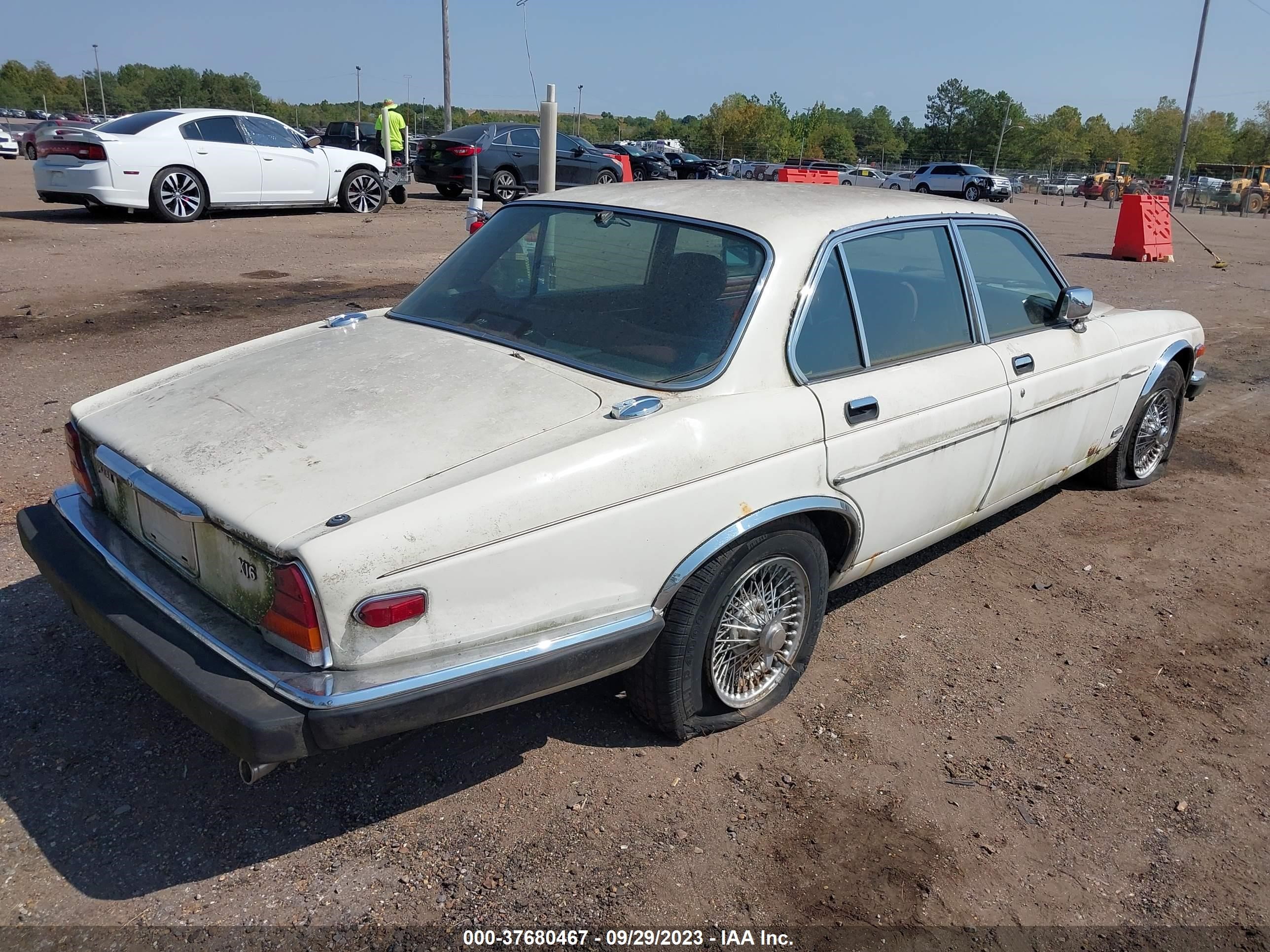 Photo 3 VIN: SAJAV1342HC468642 - JAGUAR XJ 