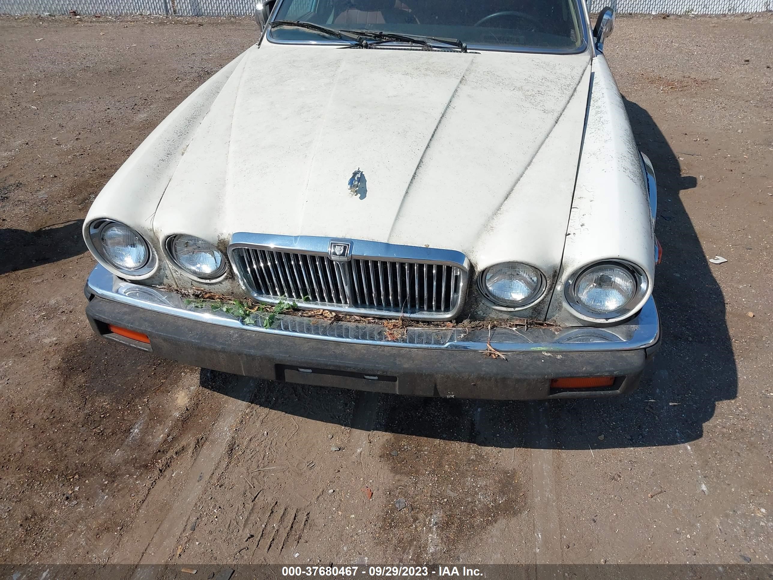 Photo 5 VIN: SAJAV1342HC468642 - JAGUAR XJ 