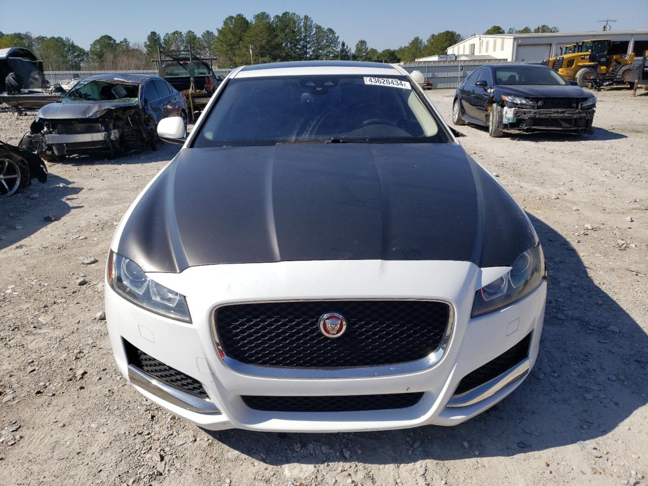 Photo 4 VIN: SAJBD4BV7GCY08353 - JAGUAR XF 