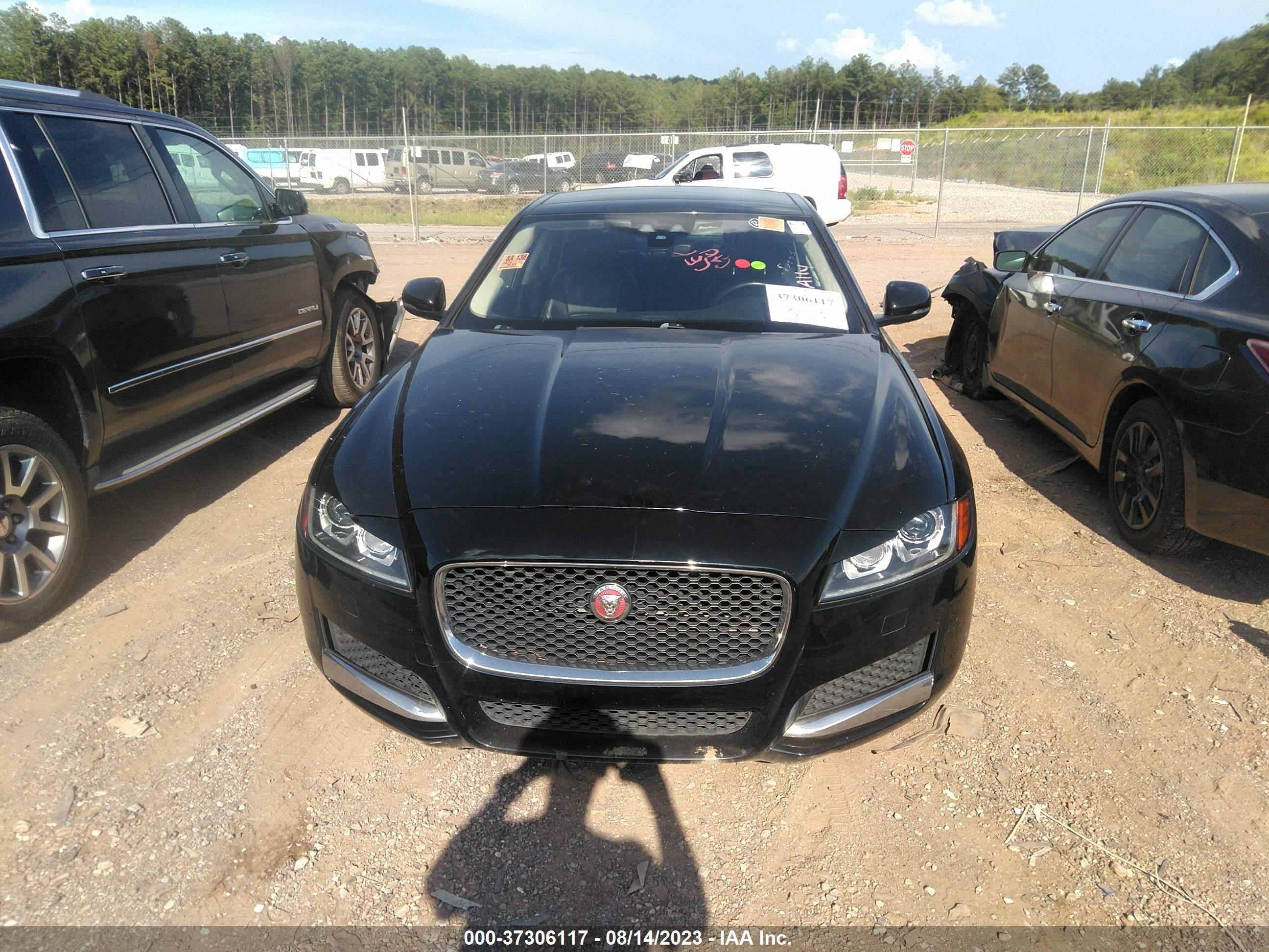 Photo 11 VIN: SAJBJ4FX7KCY79100 - JAGUAR XF 