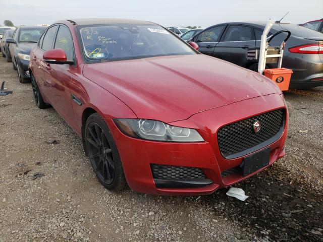 Photo 0 VIN: SAJBK4BV9GCY18517 - JAGUAR XF PRESTIG 