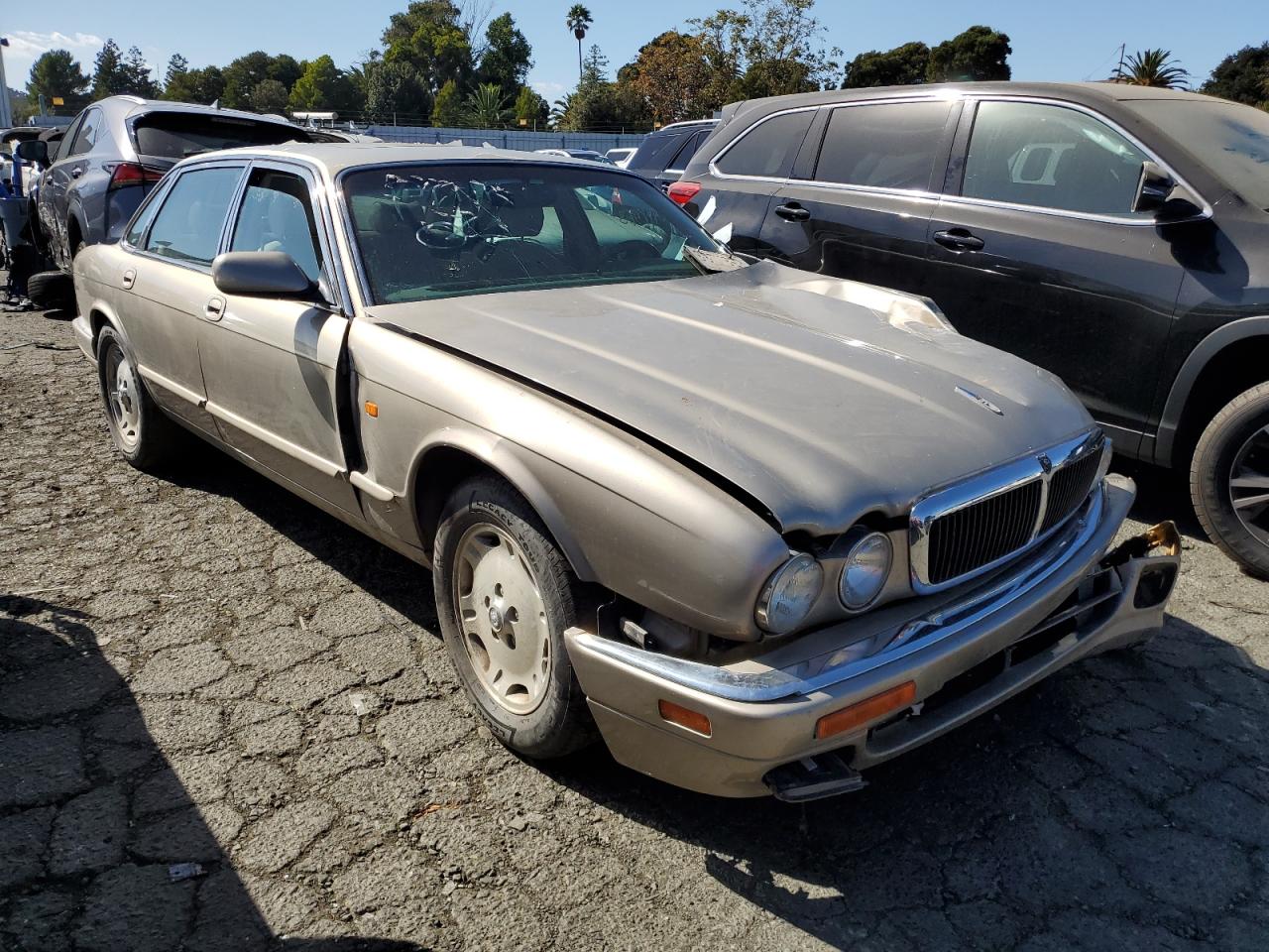 Photo 3 VIN: SAJHX1242VC807082 - JAGUAR XJ 