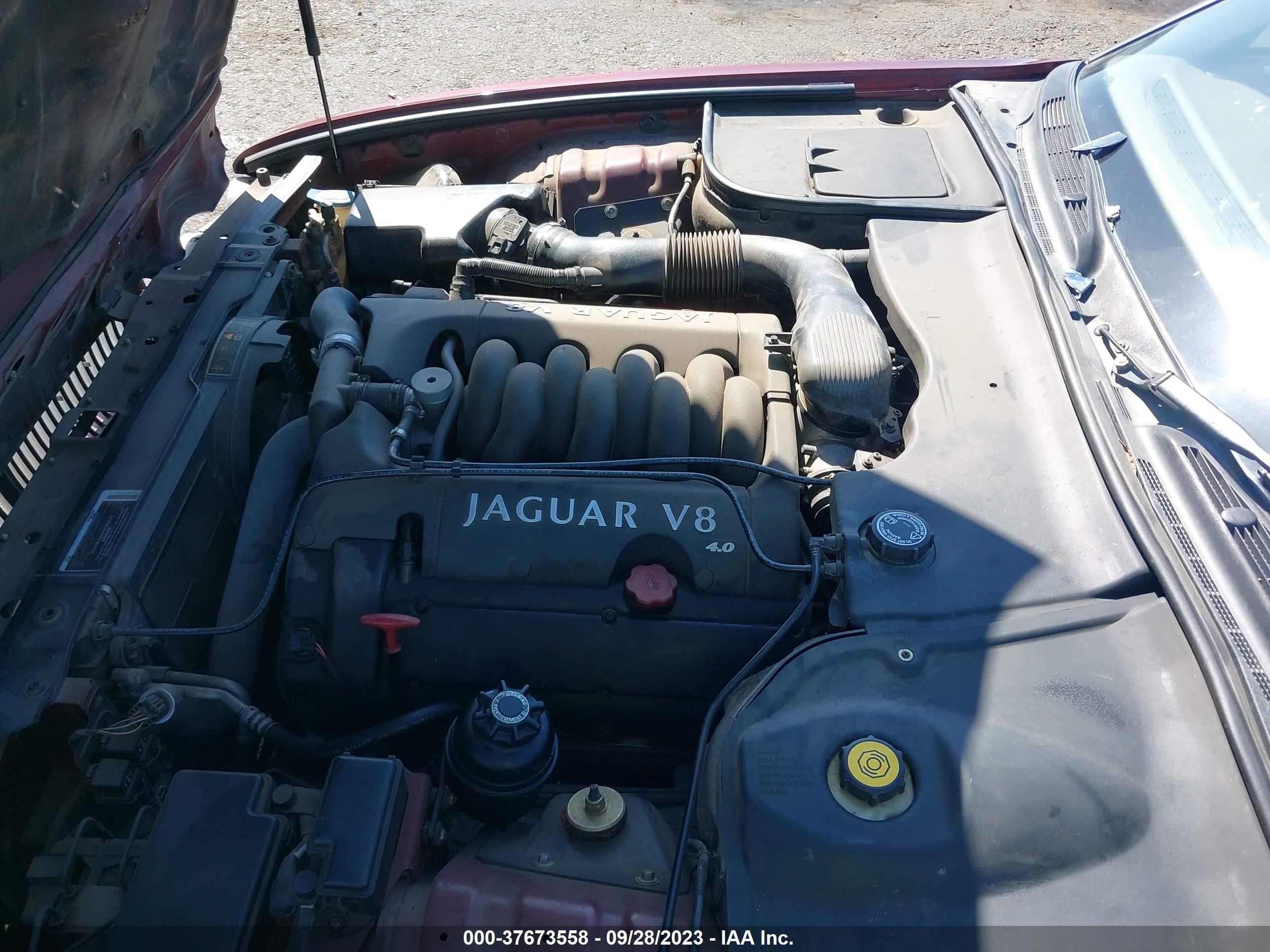 Photo 9 VIN: SAJKD6044XC873246 - JAGUAR XJ 