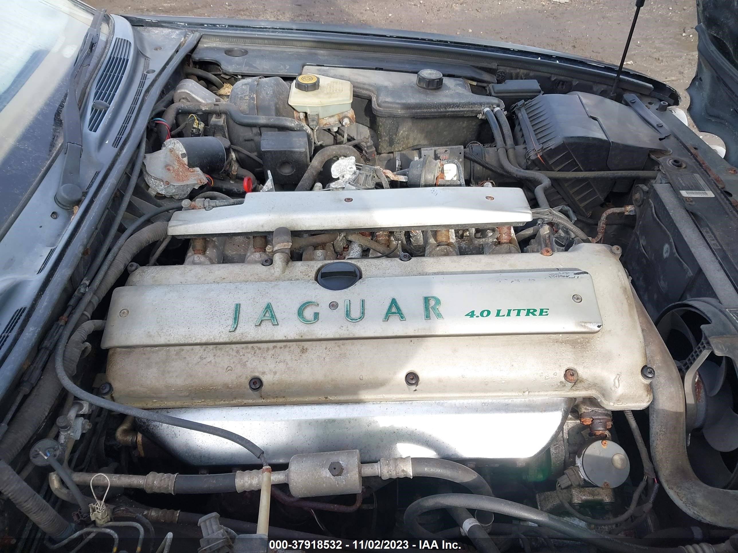 Photo 9 VIN: SAJKX1745SC741007 - JAGUAR NULL 