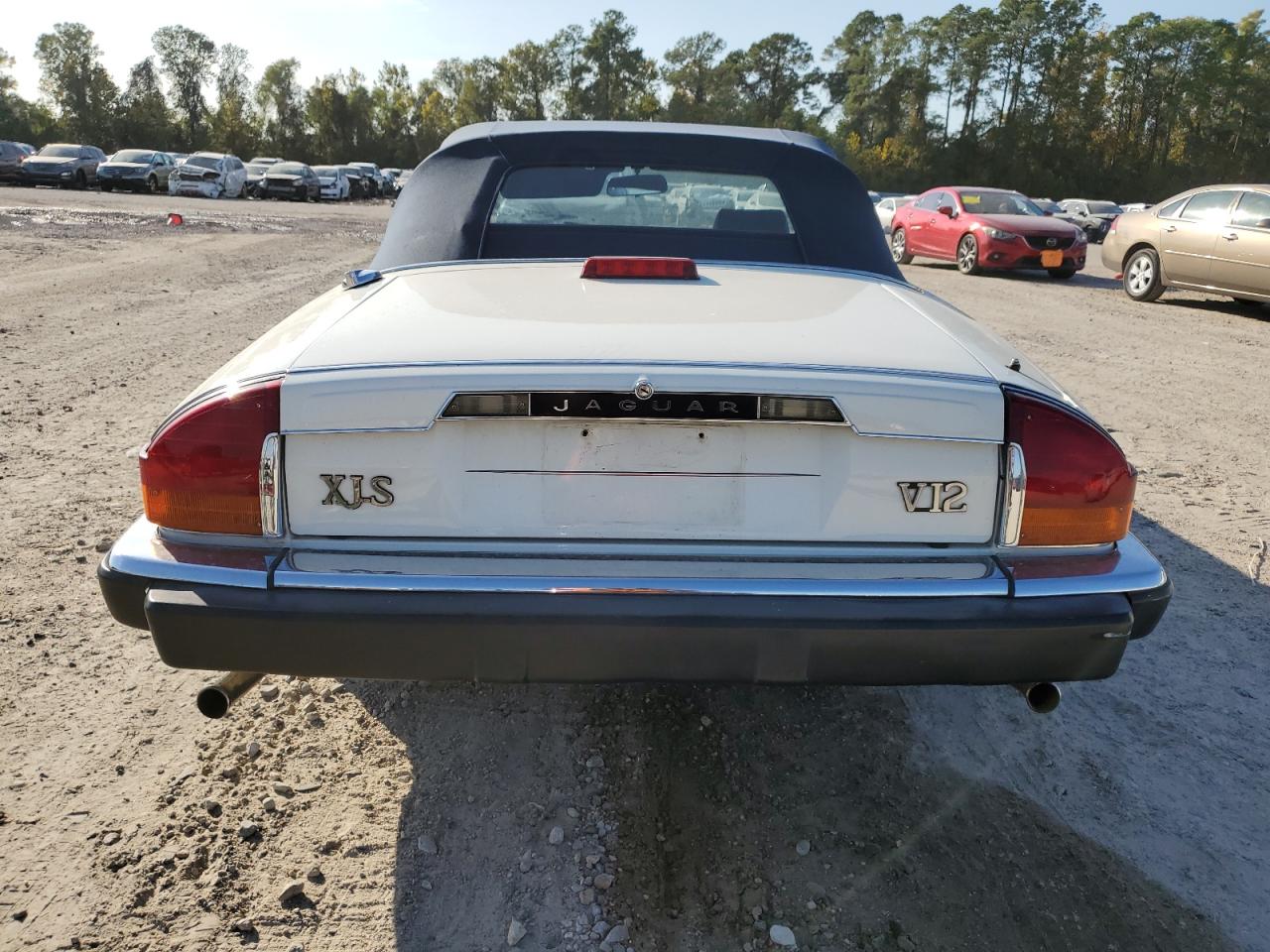 Photo 5 VIN: SAJNA5844JC145020 - JAGUAR XJS 