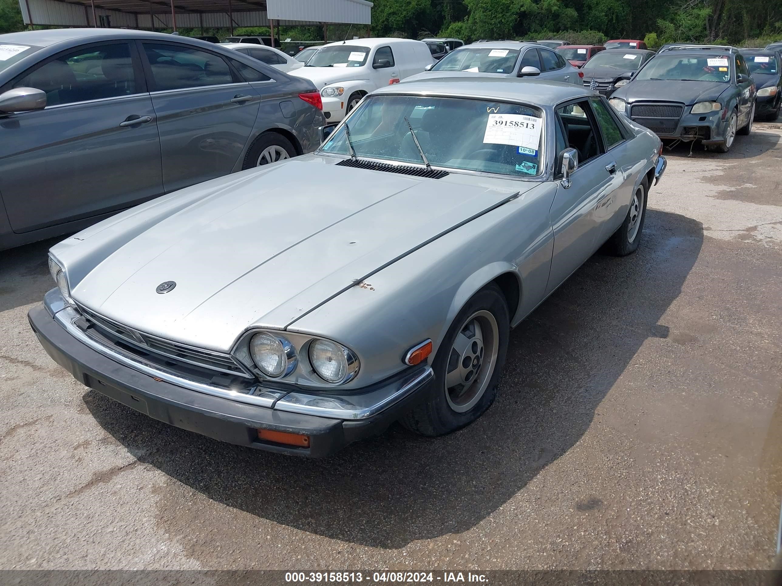 Photo 1 VIN: SAJNV5842FC122086 - JAGUAR XJS 