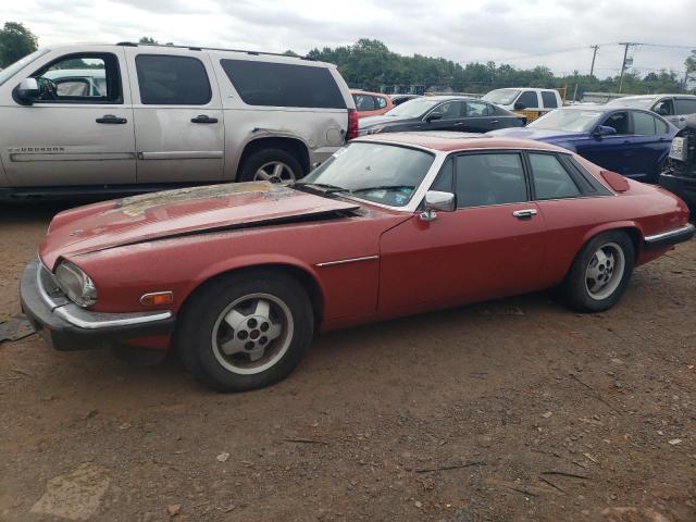 Photo 0 VIN: SAJNV5842FC123545 - JAGUAR XJS 