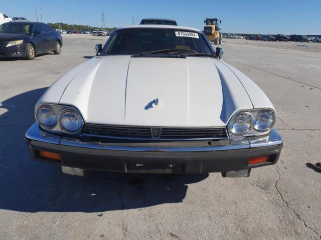 Photo 4 VIN: SAJNV5843GC127444 - JAGUAR XJS 