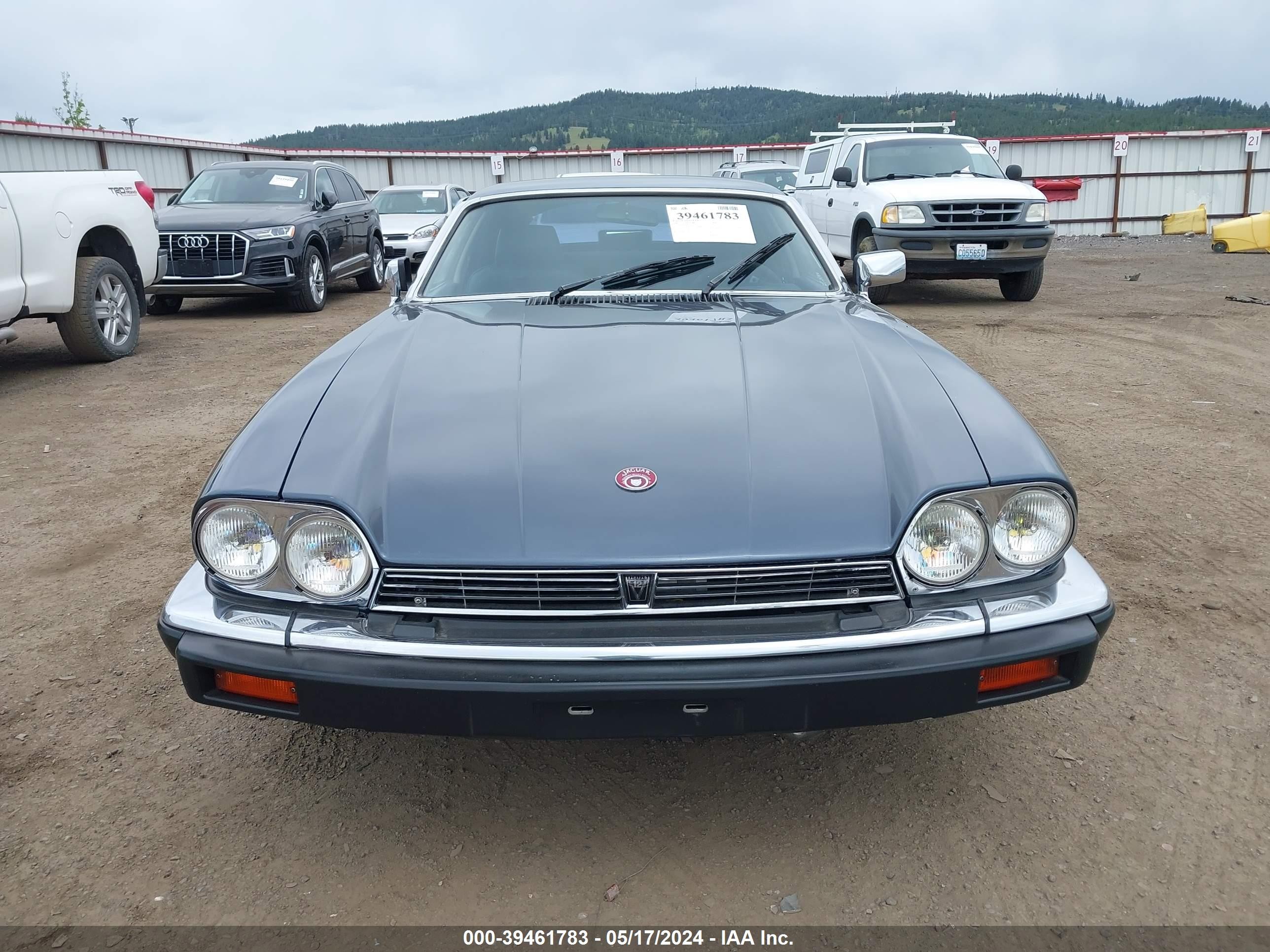 Photo 5 VIN: SAJNV5843HC134928 - JAGUAR XJS 