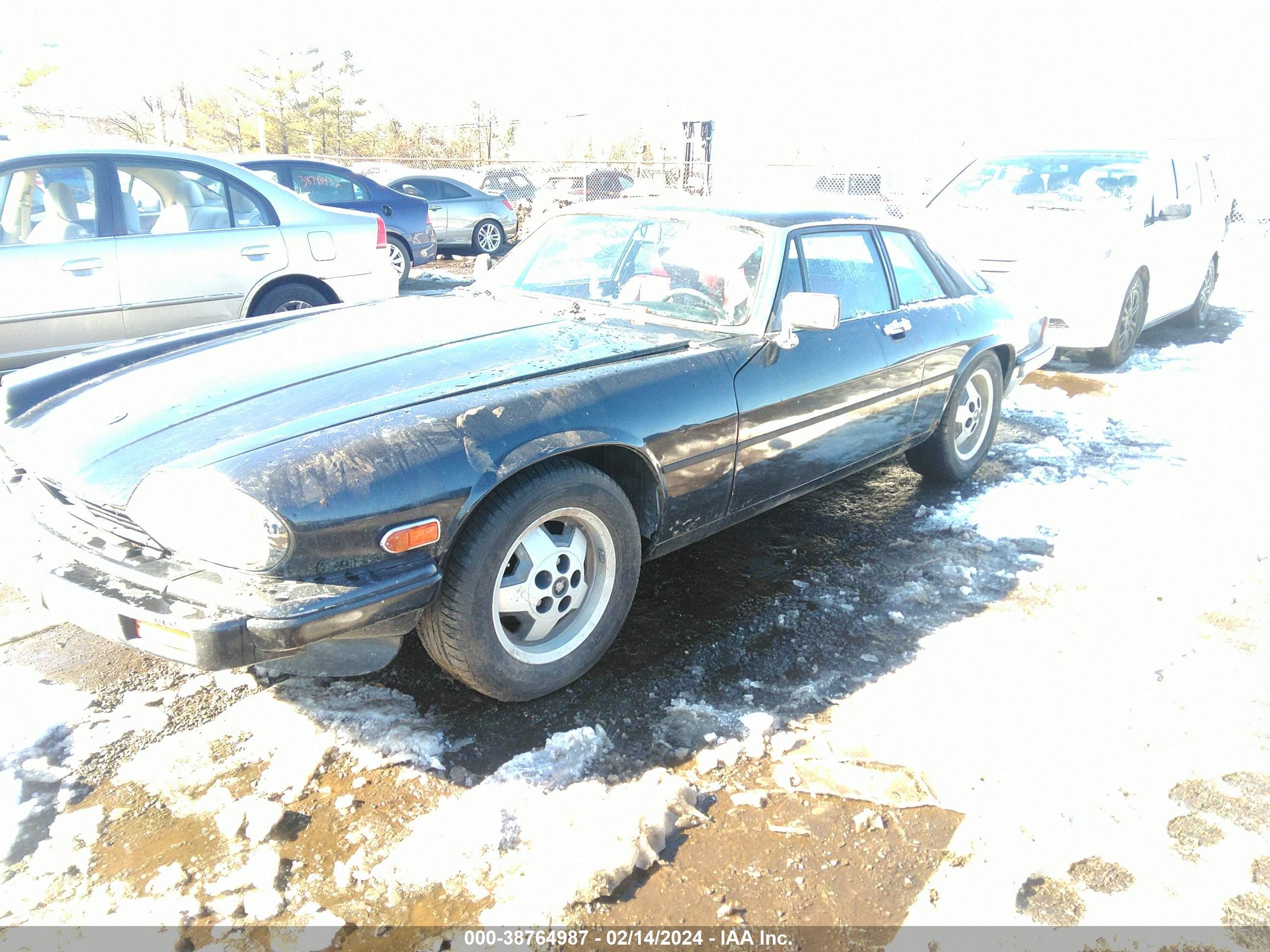 Photo 1 VIN: SAJNV5844FC124647 - JAGUAR XJS 