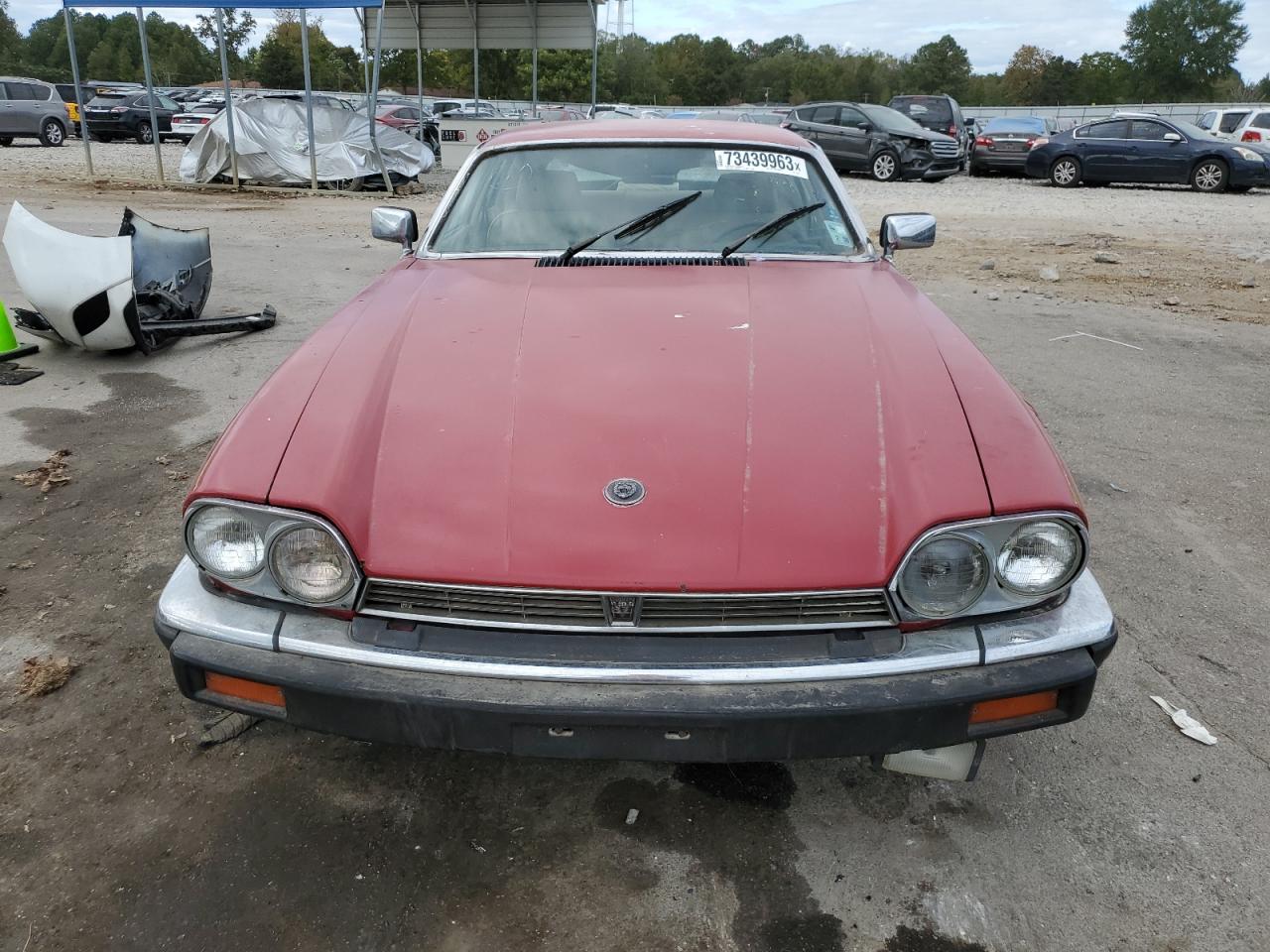 Photo 5 VIN: SAJNV5848HC136917 - JAGUAR XJS 