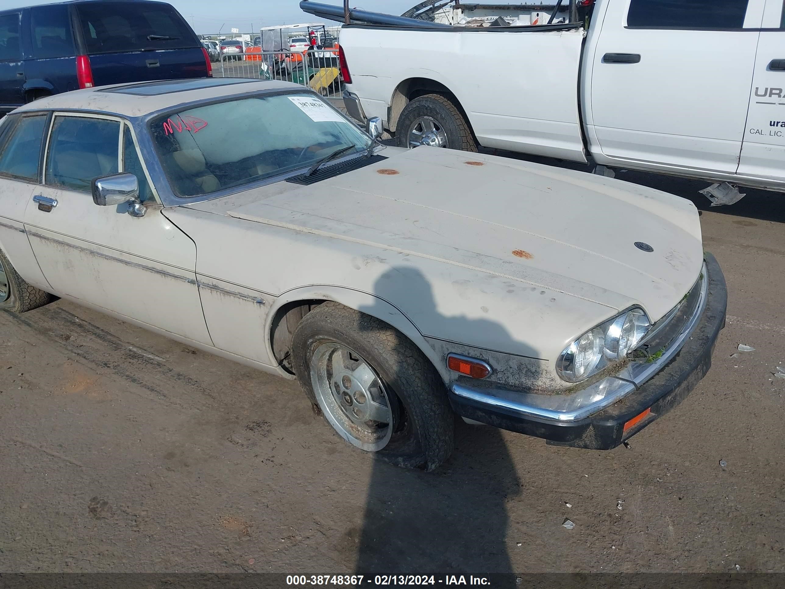 Photo 5 VIN: SAJNV584XFC117895 - JAGUAR XJS 