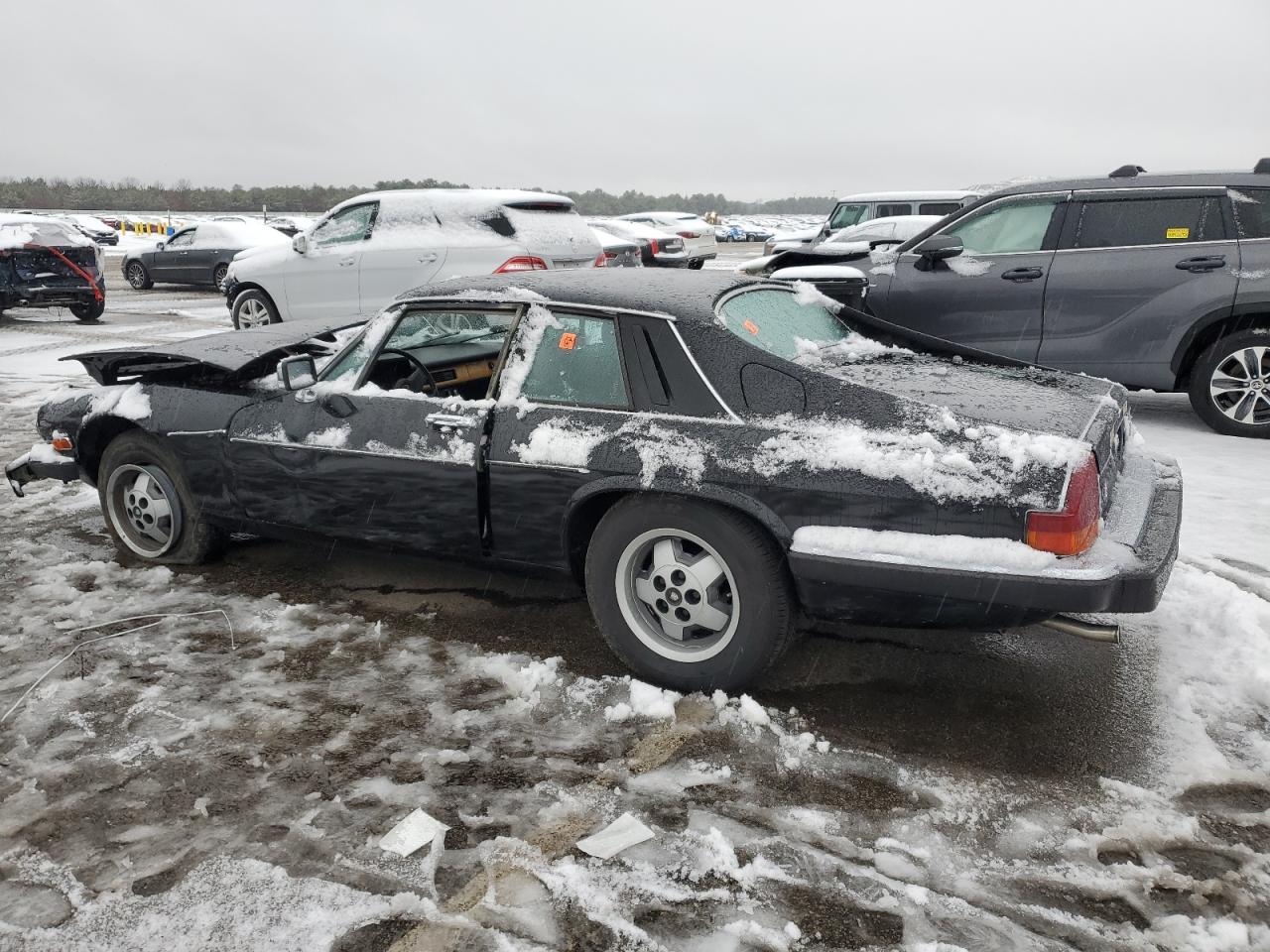 Photo 1 VIN: SAJNV584XFC119985 - JAGUAR XJS 