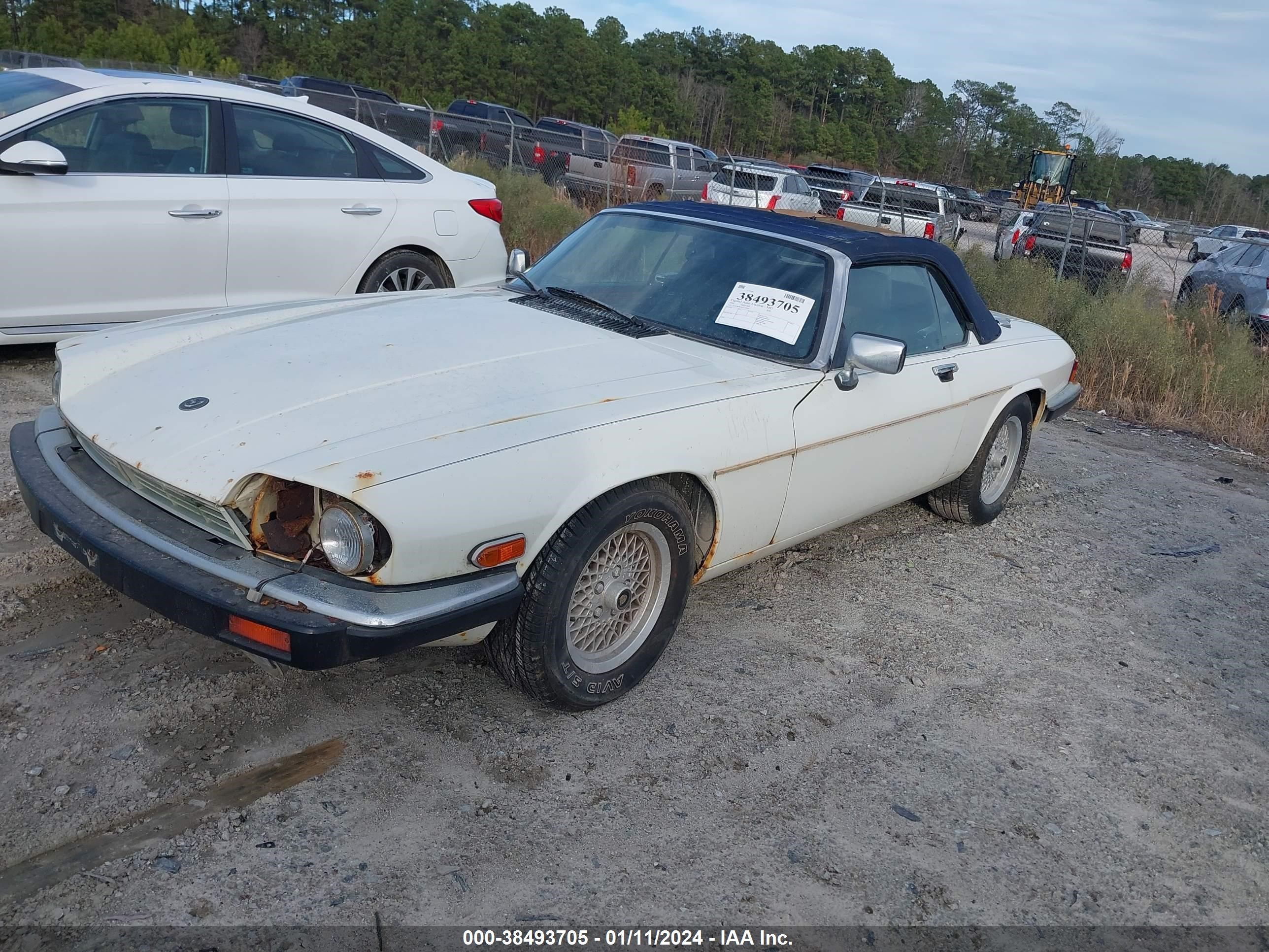 Photo 1 VIN: SAJNW4844LC174595 - JAGUAR XJS 