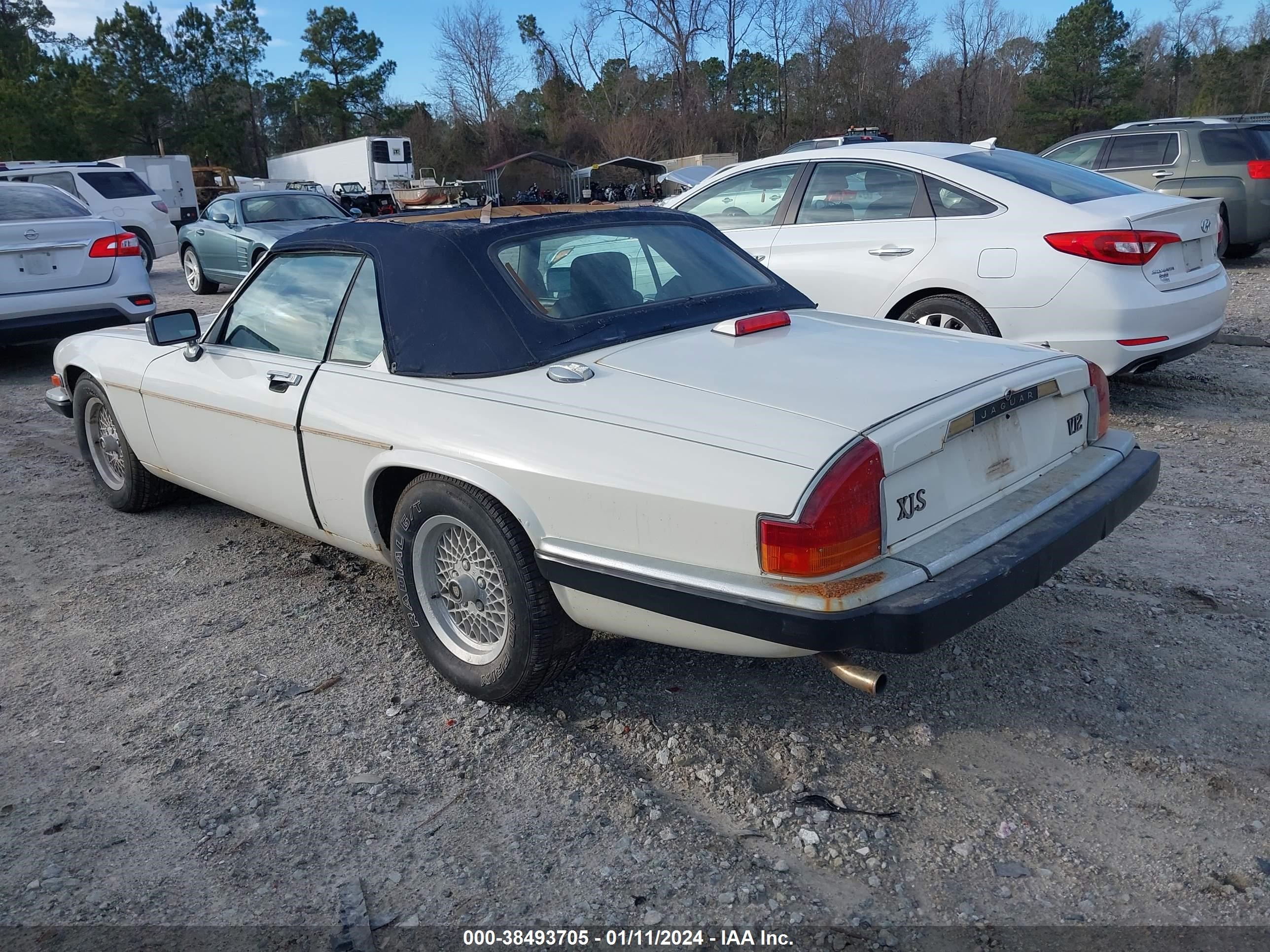 Photo 2 VIN: SAJNW4844LC174595 - JAGUAR XJS 